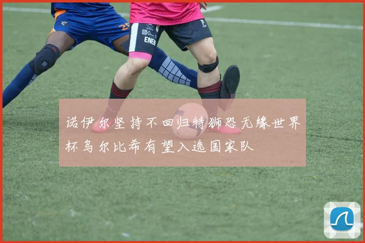 诺伊尔坚持不回归特狮恐无缘世界杯乌尔比希有望入选国家队