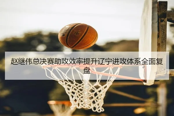 赵继伟总决赛助攻效率提升辽宁进攻体系全面复盘